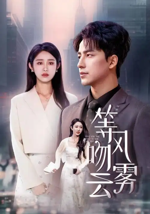 要久久爱 电视剧海报